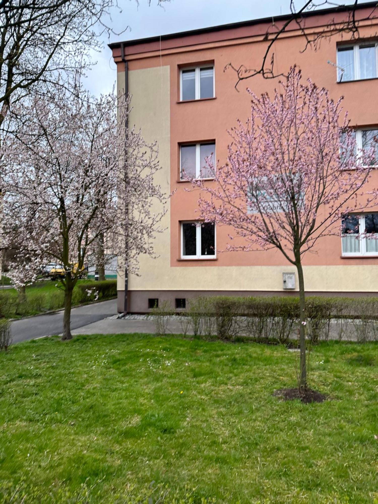 Dobra 19 Lejlighed Katowice Eksteriør billede
